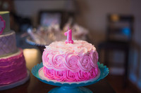 2016  Emmerlynn's 1st Birthday